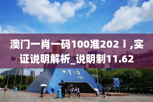 澳门一肖一码100准202ⅰ,实证说明解析_说明制11.62