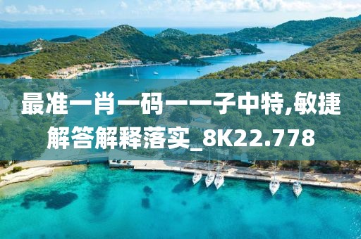 最准一肖一码一一子中特,敏捷解答解释落实_8K22.778