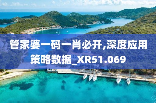管家婆一码一肖必开,深度应用策略数据_XR51.069