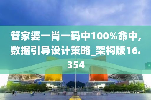管家婆一肖一码中100%命中,数据引导设计策略_架构版16.354