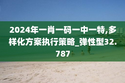 2024年一肖一码一中一特,多样化方案执行策略_弹性型32.787