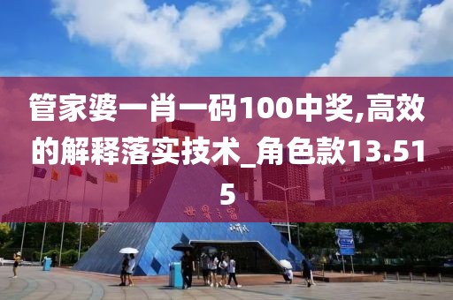 管家婆一肖一码100中奖,高效的解释落实技术_角色款13.515