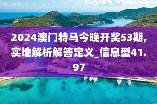 2024澳门特马今晚开奖53期,实地解析解答定义_信息型41.97
