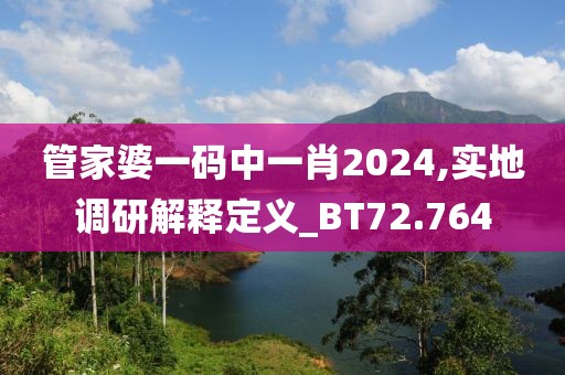 管家婆一码中一肖2024,实地调研解释定义_BT72.764