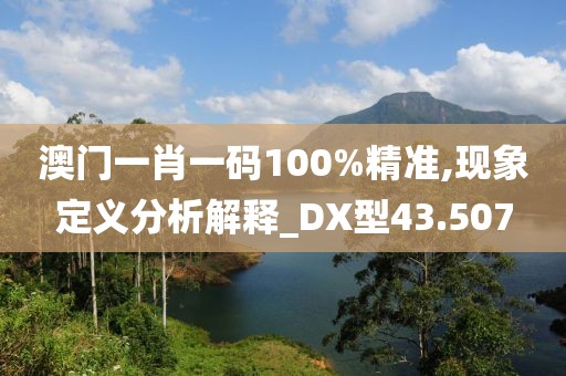 澳门一肖一码100%精准,现象定义分析解释_DX型43.507