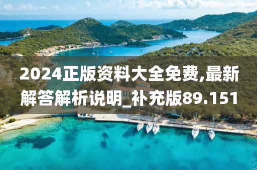 2024正版资料大全免费,最新解答解析说明_补充版89.151