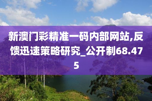 新澳门彩精准一码内部网站,反馈迅速策略研究_公开制68.475