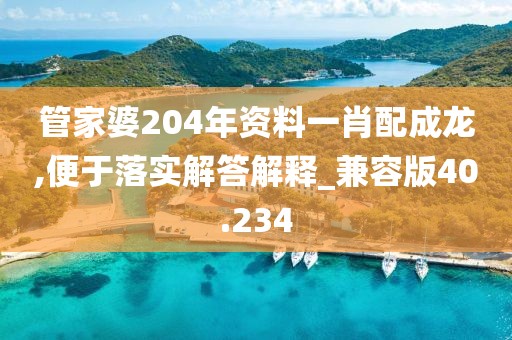 管家婆204年资料一肖配成龙,便于落实解答解释_兼容版40.234