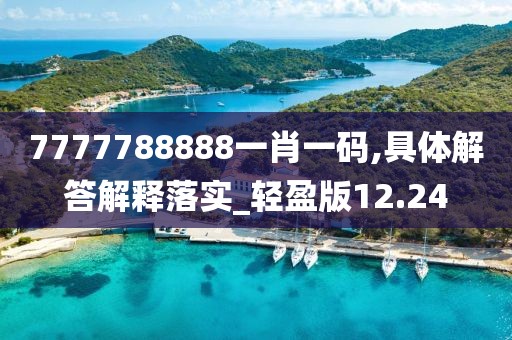 7777788888一肖一码,具体解答解释落实_轻盈版12.24