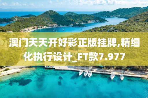 澳门天天开好彩正版挂牌,精细化执行设计_FT款7.977