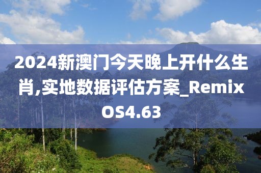 2024新澳门今天晚上开什么生肖,实地数据评估方案_RemixOS4.63