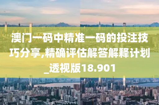 澳门一码中精准一码的投注技巧分享,精确评估解答解释计划_透视版18.901
