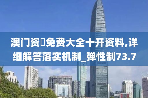 澳门资枓免费大全十开资料,详细解答落实机制_弹性制73.7