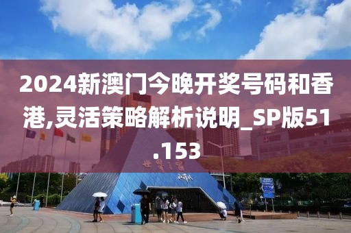 2024新澳门今晚开奖号码和香港,灵活策略解析说明_SP版51.153