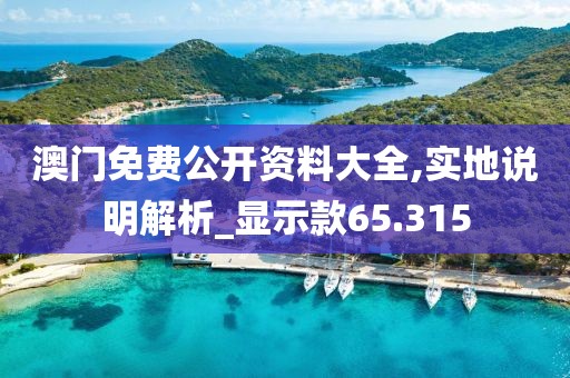澳门免费公开资料大全,实地说明解析_显示款65.315