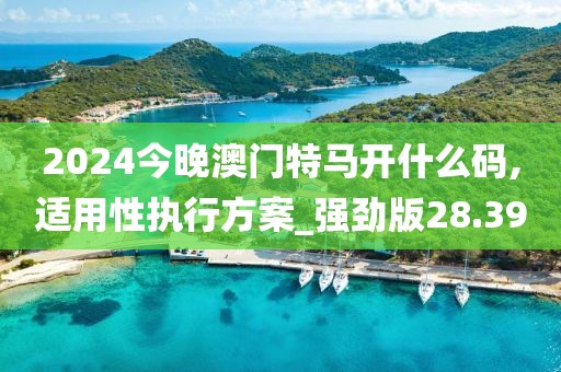 2024今晚澳门特马开什么码,适用性执行方案_强劲版28.39