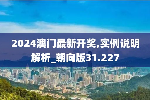 2024澳门最新开奖,实例说明解析_朝向版31.227