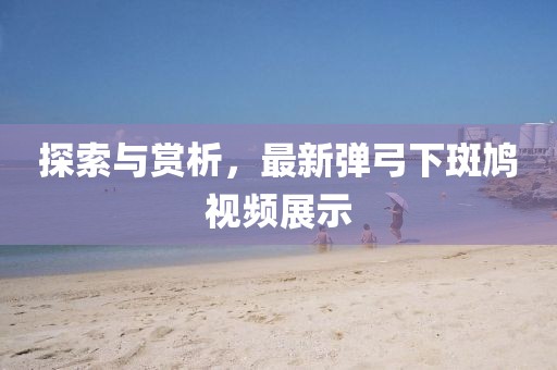 探索与赏析，最新弹弓下斑鸠视频展示