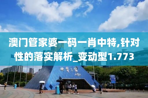 澳门管家婆一码一肖中特,针对性的落实解析_变动型1.773