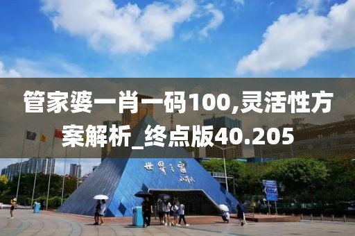 管家婆一肖一码100,灵活性方案解析_终点版40.205