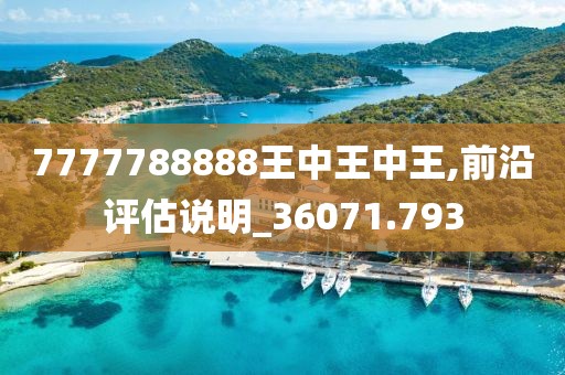 7777788888王中王中王,前沿评估说明_36071.793