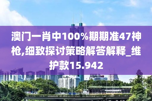 澳门一肖中100%期期准47神枪,细致探讨策略解答解释_维护款15.942