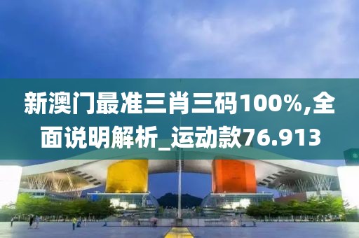 新澳门最准三肖三码100%,全面说明解析_运动款76.913