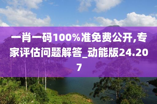 一肖一码100%准免费公开,专家评估问题解答_动能版24.207