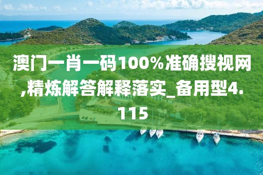 澳门一肖一码100%准确搜视网,精炼解答解释落实_备用型4.115