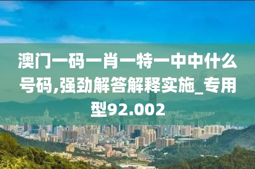 澳门一码一肖一特一中中什么号码,强劲解答解释实施_专用型92.002