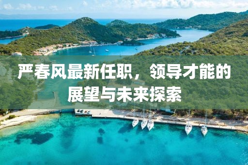严春风最新任职，领导才能的展望与未来探索