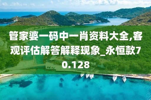 管家婆一码中一肖资料大全,客观评估解答解释现象_永恒款70.128