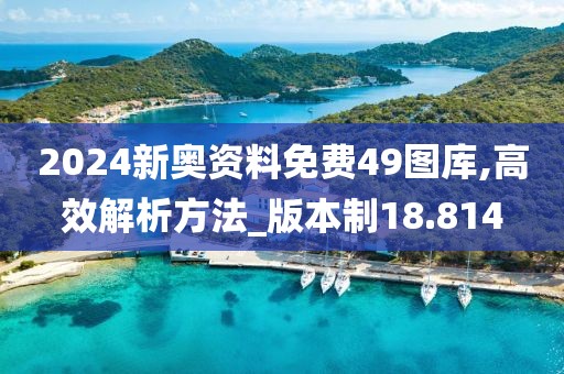 2024新奥资料免费49图库,高效解析方法_版本制18.814