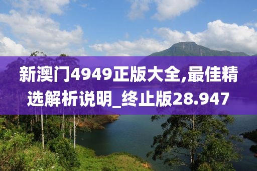 新澳门4949正版大全,最佳精选解析说明_终止版28.947