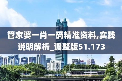 管家婆一肖一码精准资料,实践说明解析_调整版51.173
