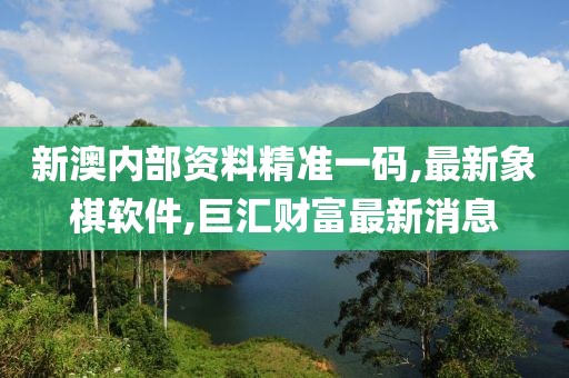 新澳内部资料精准一码,最新象棋软件,巨汇财富最新消息