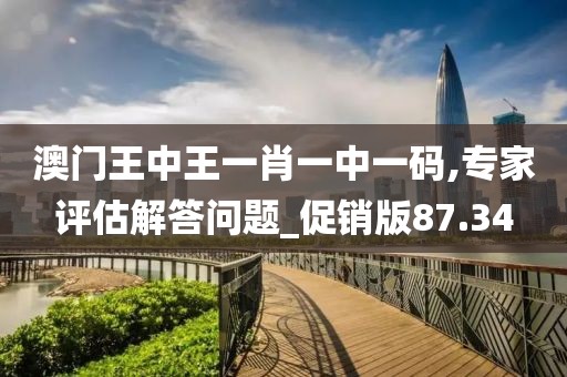 澳门王中王一肖一中一码,专家评估解答问题_促销版87.34