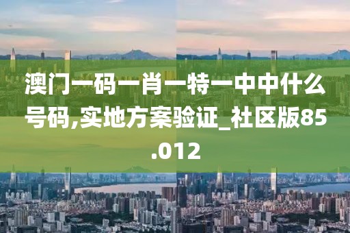 澳门一码一肖一特一中中什么号码,实地方案验证_社区版85.012
