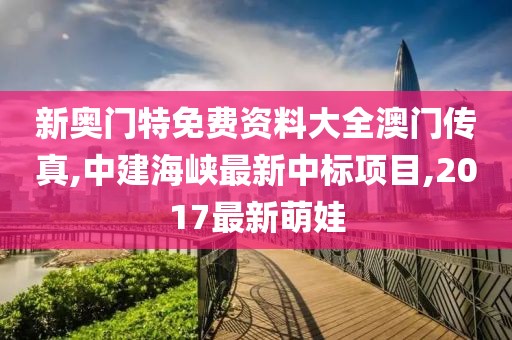 新奥门特免费资料大全澳门传真,中建海峡最新中标项目,2017最新萌娃