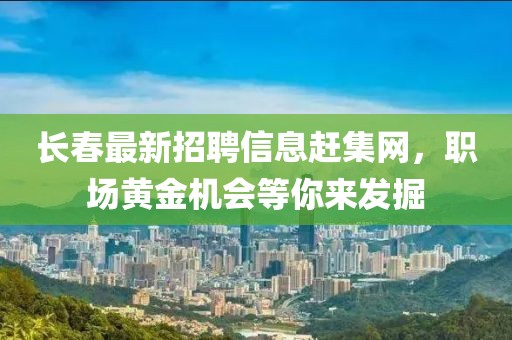 天天开好彩大全 第91页