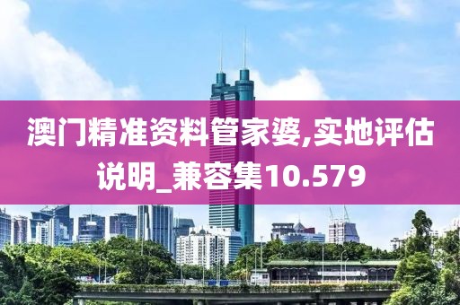 澳门精准资料管家婆,实地评估说明_兼容集10.579
