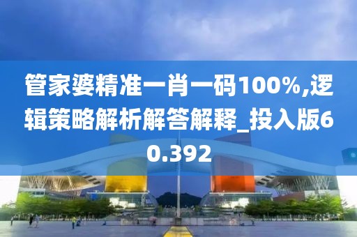 管家婆精准一肖一码100%,逻辑策略解析解答解释_投入版60.392