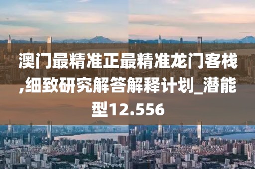 澳门最精准正最精准龙门客栈,细致研究解答解释计划_潜能型12.556