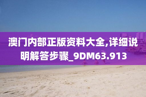 澳门内部正版资料大全,详细说明解答步骤_9DM63.913