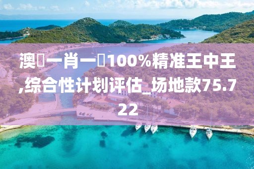 澳門一肖一碼100%精准王中王,综合性计划评估_场地款75.722