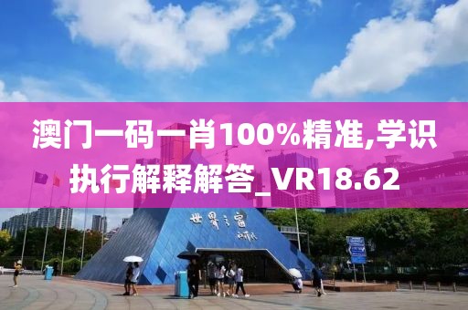 澳门一码一肖100%精准,学识执行解释解答_VR18.62