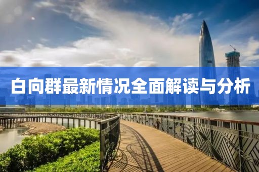 白向群最新情况全面解读与分析