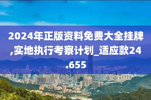 2024年正版资料免费大全挂牌,实地执行考察计划_适应款24.655