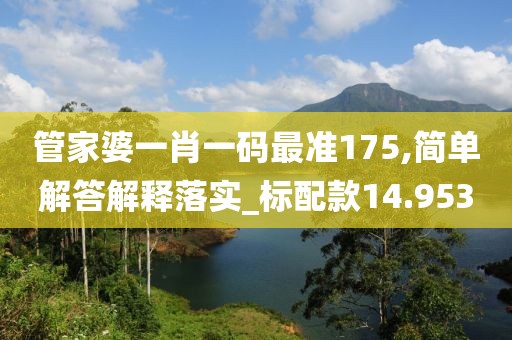 管家婆一肖一码最准175,简单解答解释落实_标配款14.953