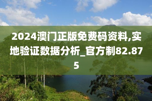 2024澳门正版免费码资料,实地验证数据分析_官方制82.875